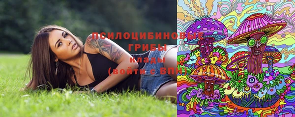 марки nbome Аркадак