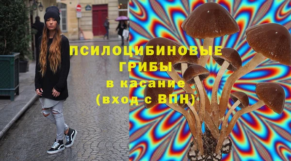 ешки Арсеньев