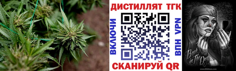 blacksprut зеркало  Черноголовка  Дистиллят ТГК жижа 